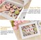 12-Pc White Cupcake Boxes – Window & Inserts, Disposable, 13x10x4in